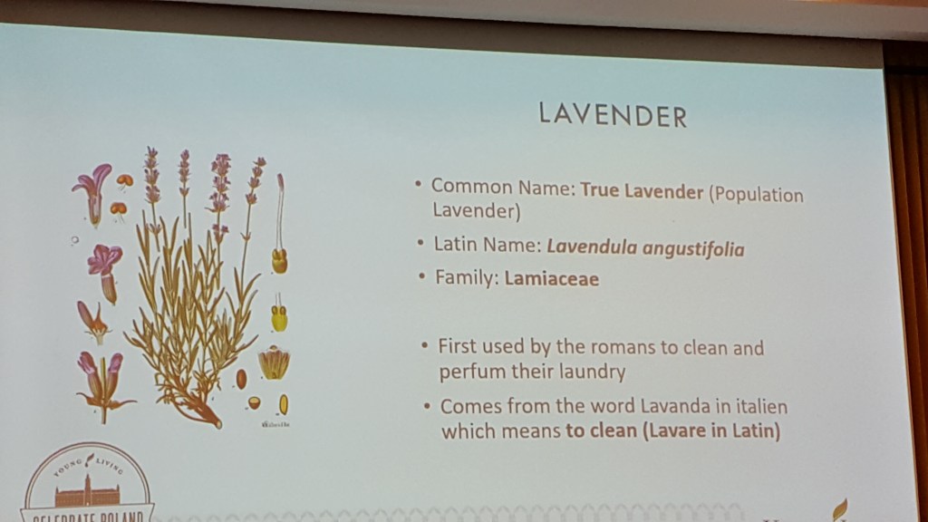 Photo credit Anna ZachÅowska