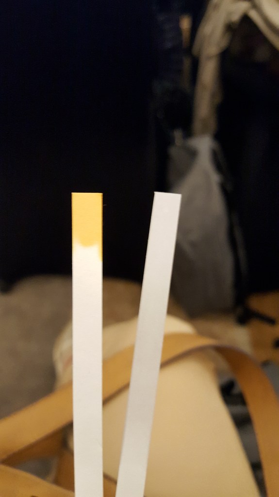 Lawenda, Hybryda Lawendy i Lavendin. Photo credit Sylwia Piotrowska